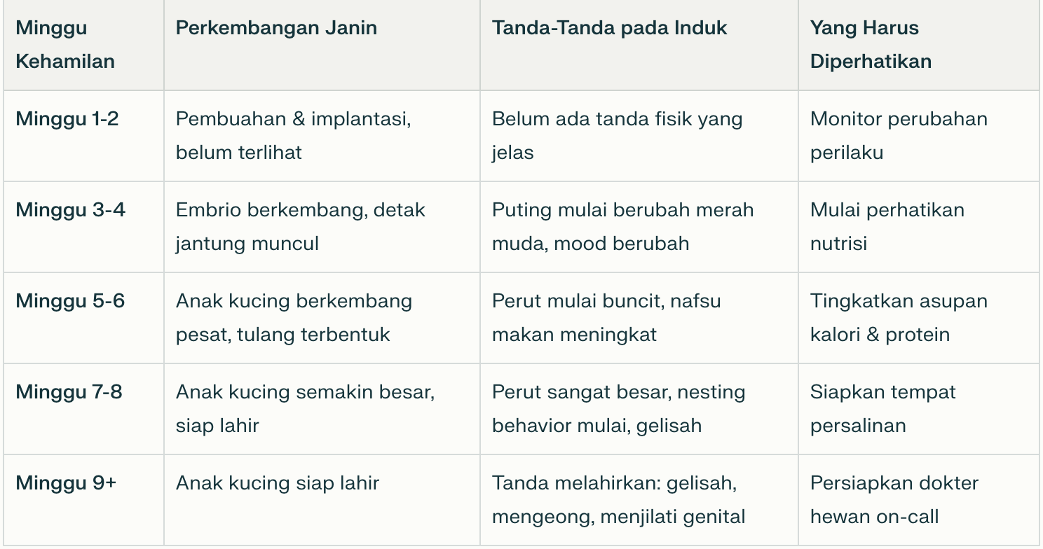 tabel minggu kehamilan kucing